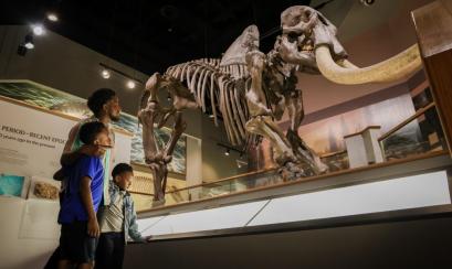 Family viewing a life-sized mastodon display at the Memphis Museum of Science and History. | Alex Shansky
