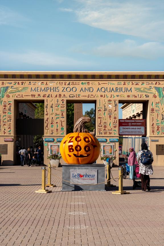 entrance to memphis zoo with "zoo boo" pumpkin on display in front