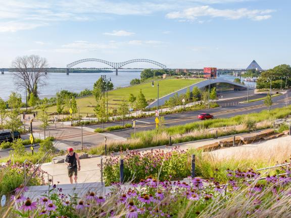 Carlisle Cutbank bluff overlooking the Mississippi River
