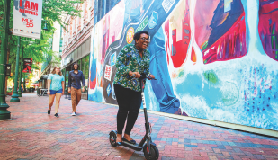 Bird Scooters